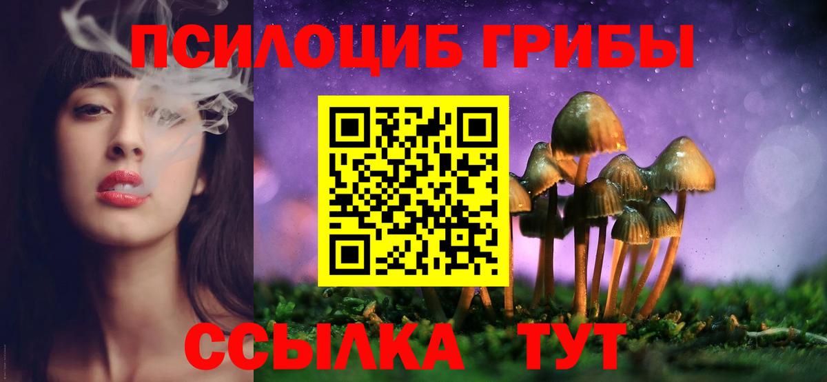 Галлюциногенные грибы Psilocybine cubensis  Вход с VPN  что такое   Каменск-Уральский 